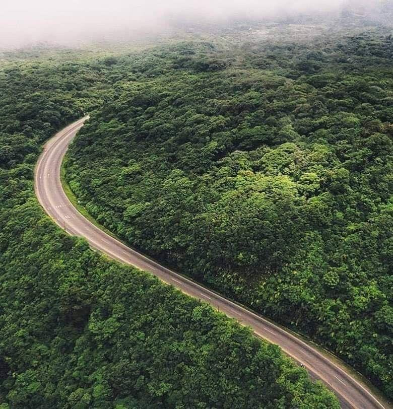 Road through the tropical rainforest in Costa Rica